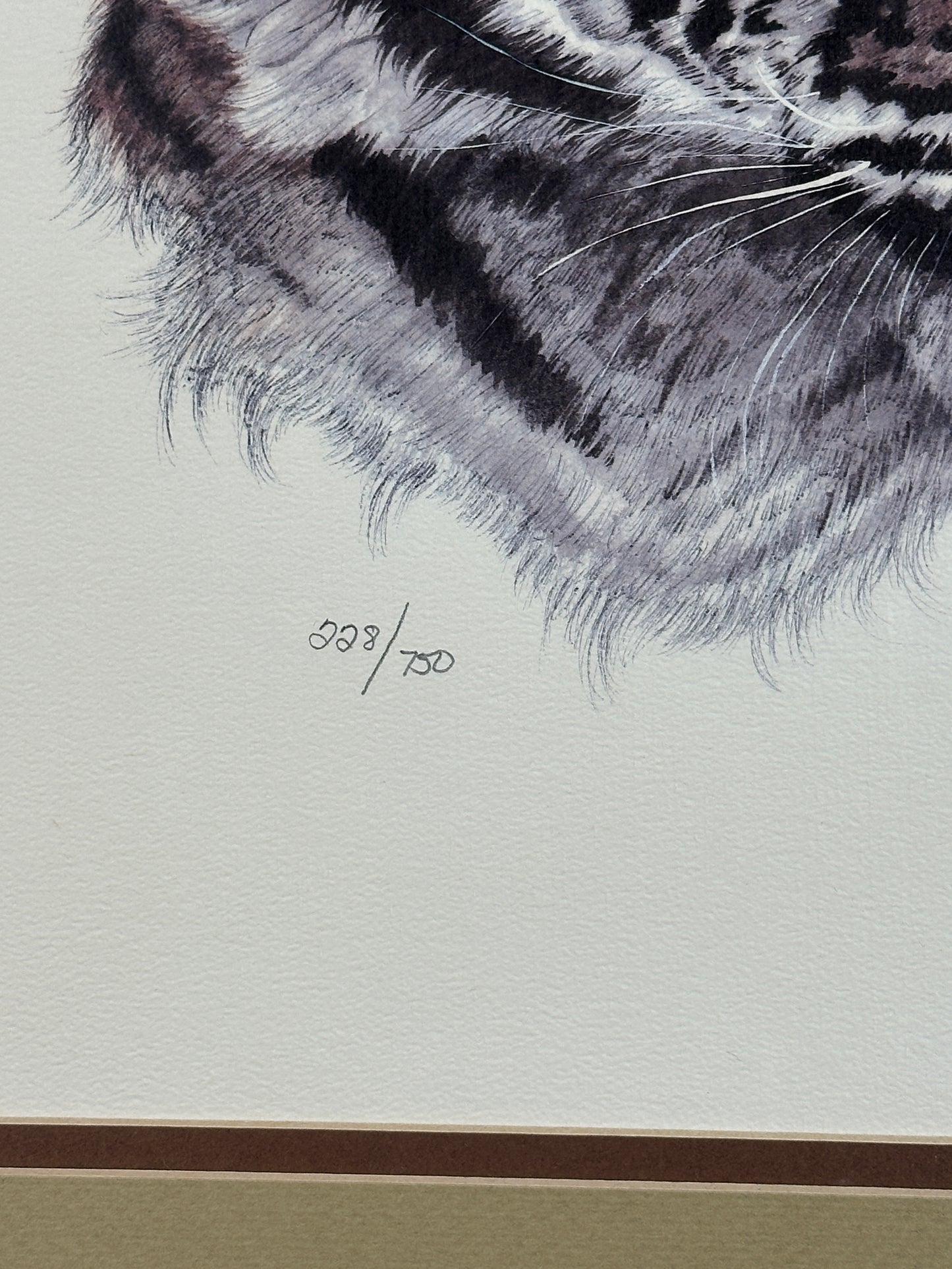 Jacquie Marie Vaux 'Baby Tiger Cub' 1979 Signed Limited Edition Print 228/750
