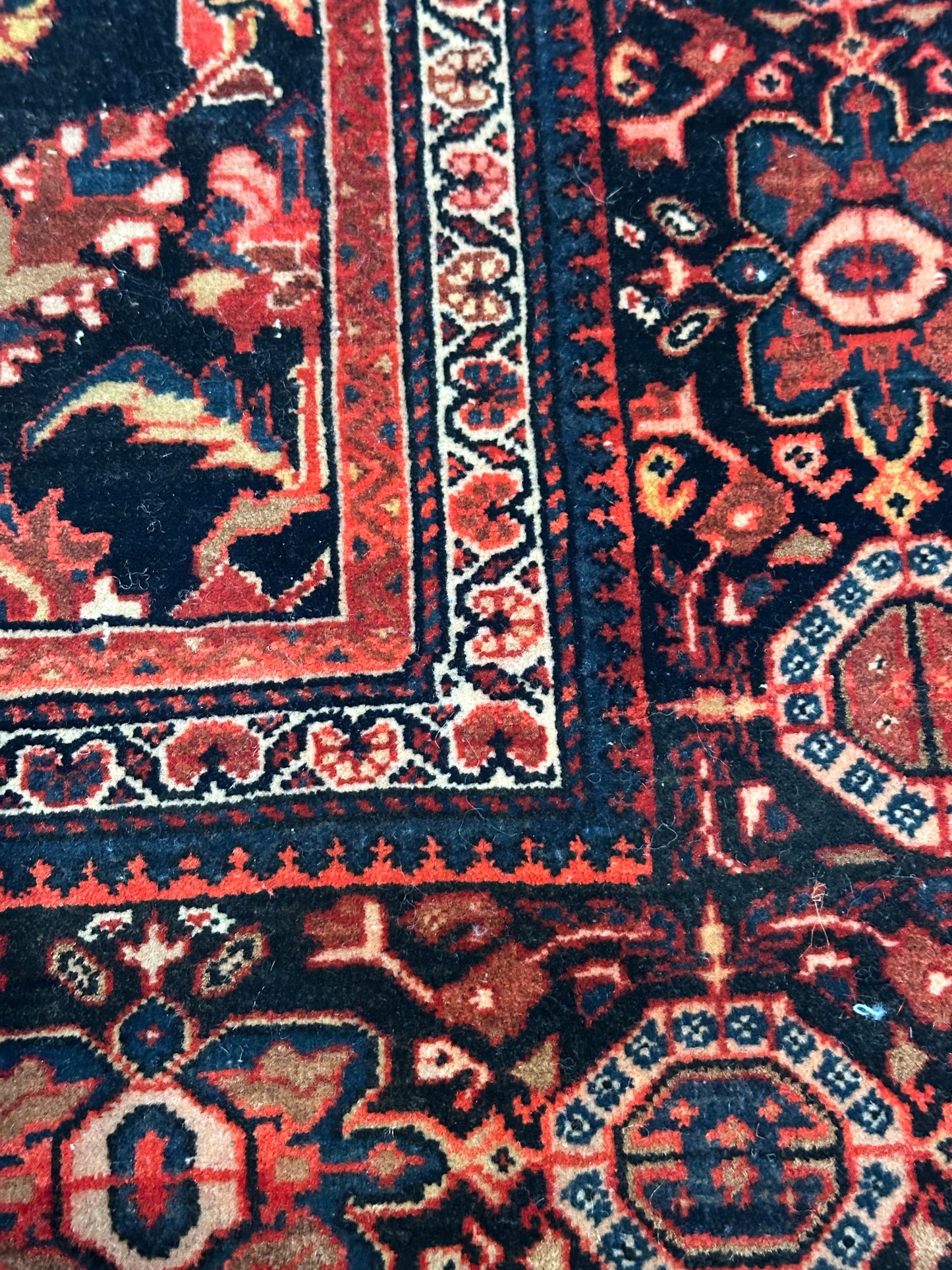 Antique Fine Persian Wool Rug, Herati Mahi Pattern, Navy Ground, Ferahan / Senneh Style, 4x6